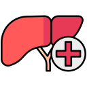 Transplant Hepatology